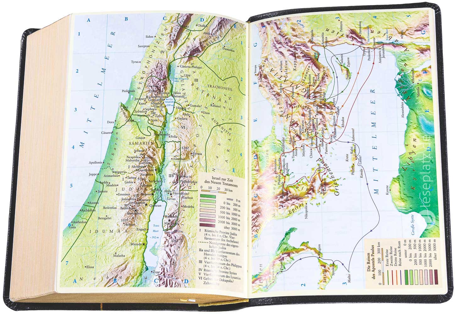 Neues Leben. Die Bibel - Standardausgabe Leder/Goldschnitt