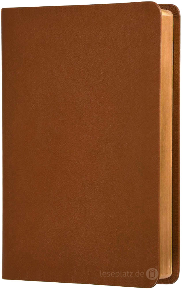 Elberfelder 2003 - Großdruckausgabe / Leder hellbraun Rotgoldschnitt