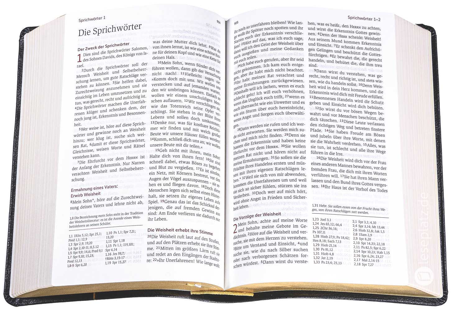 Neues Leben. Die Bibel - Standardausgabe Leder/Goldschnitt