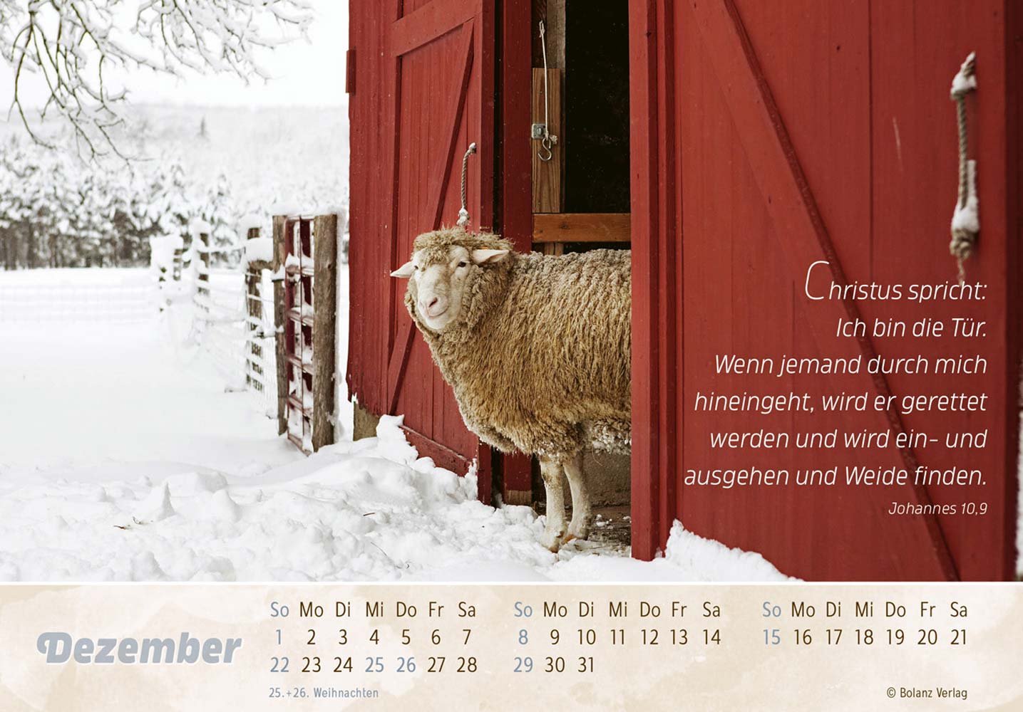 Der Gute Hirte 2024 - Postkartenkalender Der Gute Hirte 2024 - Postkartenkalender