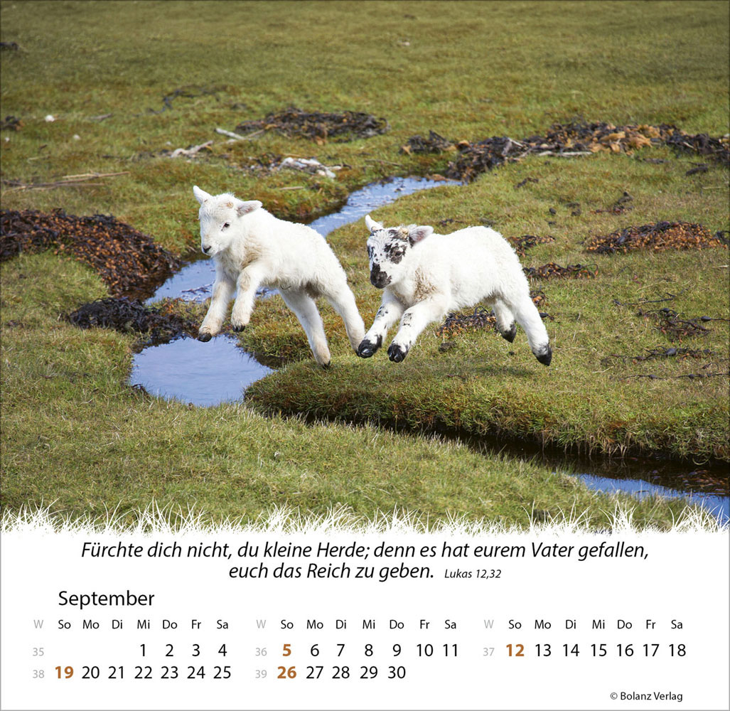 Ein Leben für die Schafe 2027 - Verteilkalender