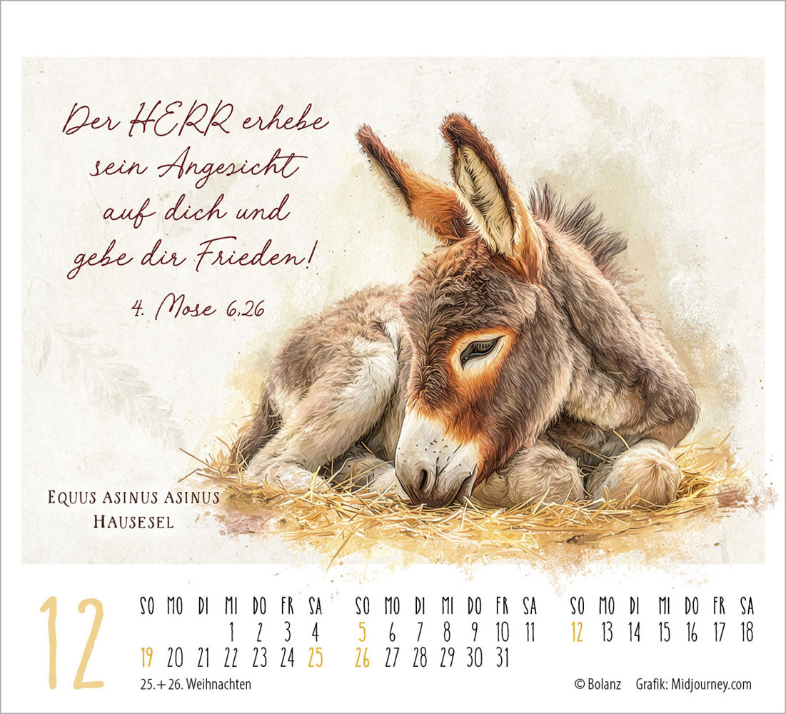 KunstWerke des Schöpfers 2027- Minikalender