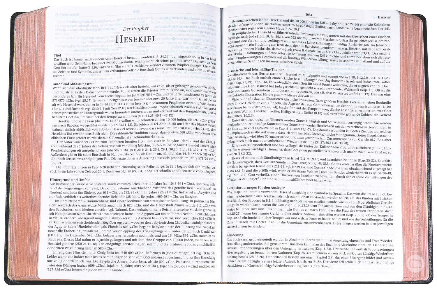 MacArthur Studienbibel - Kalbsleder / Rotgoldschnitt