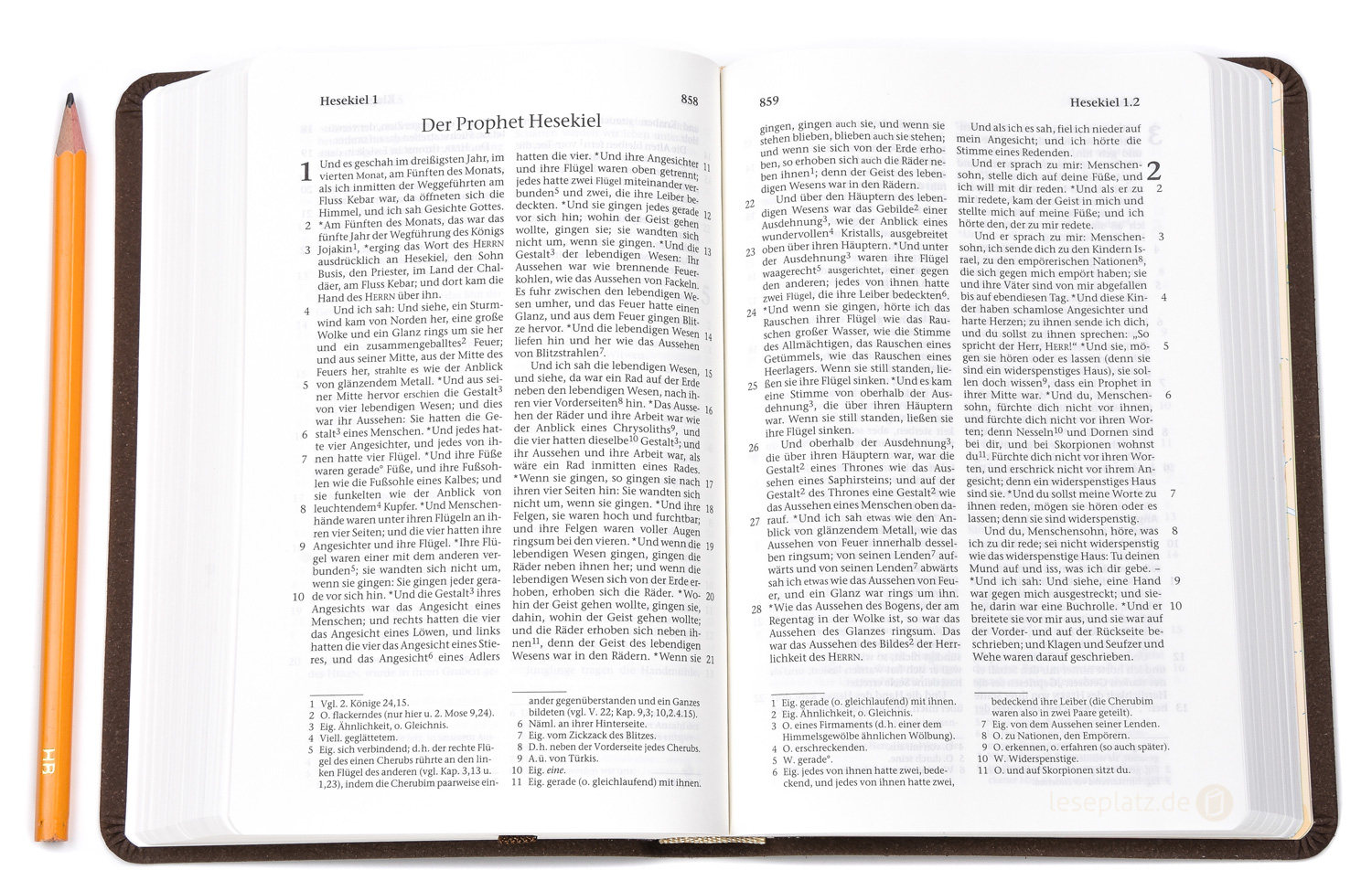 257114_07 Elberfelder 2003 - Taschenausgabe / Bonded-Leather braun