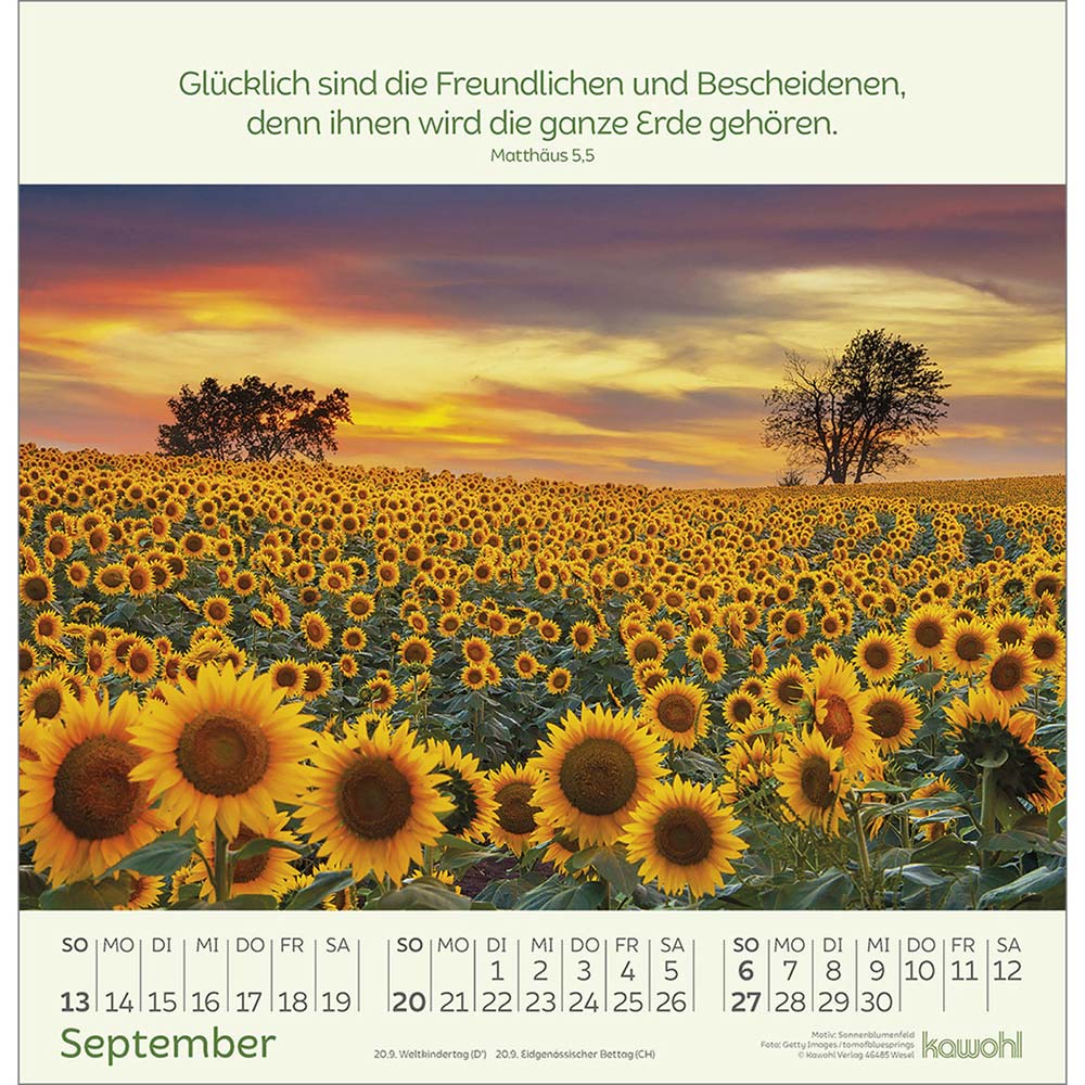Blumengrüße 2026 - Wandkalender