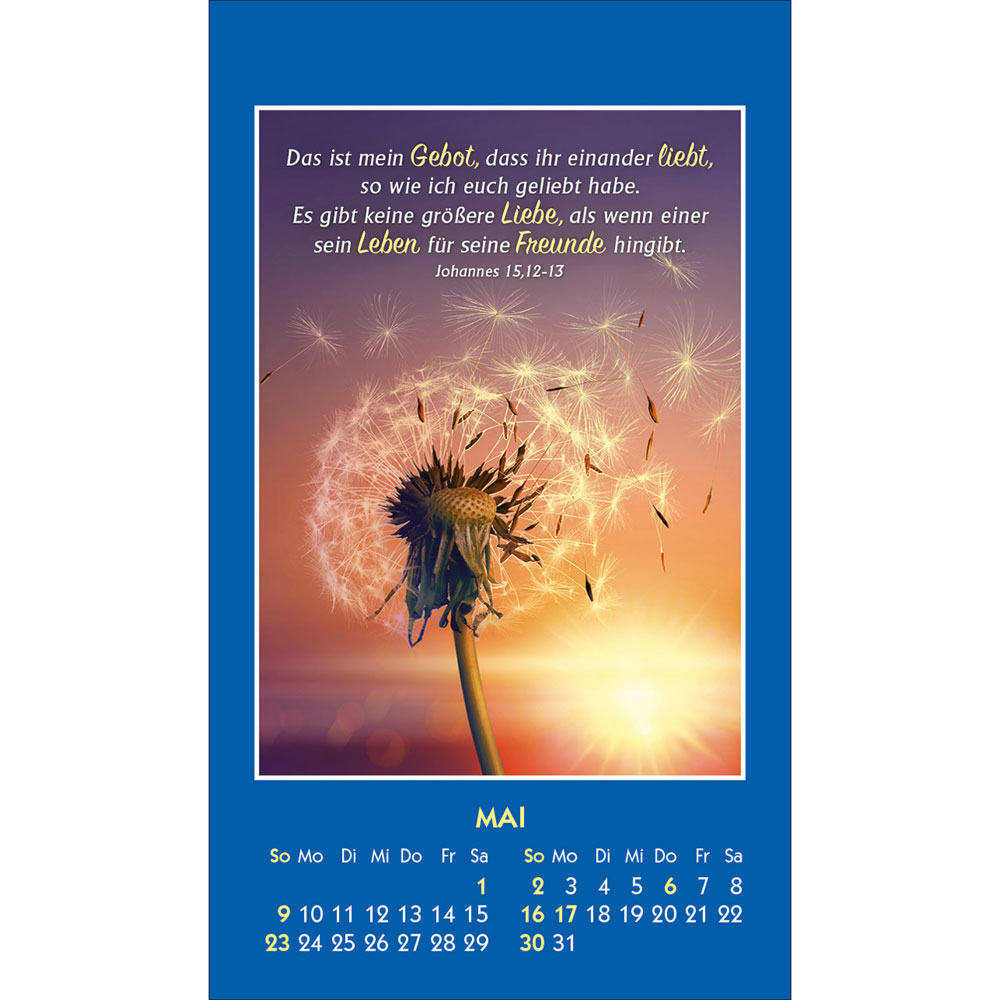 Gottes Wort - Licht für den Tag 2027 - Aufkleberkalender