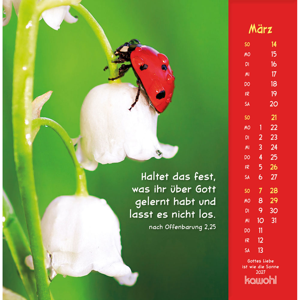 Gottes Liebe ist wie die Sonne 2027 - Postkartenkalender