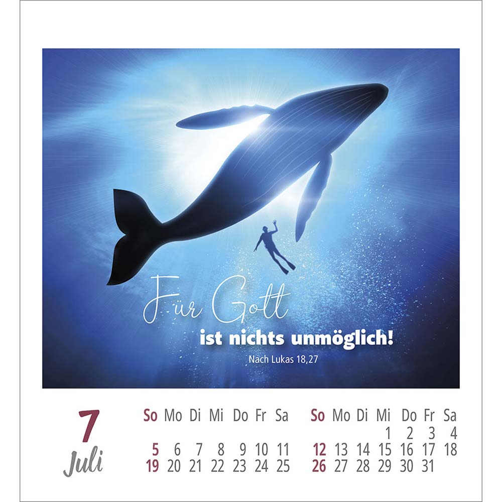 Frei sein & leben 2026 - Aufkleber-Kalender