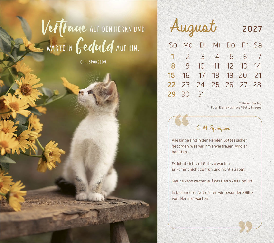 Mit Seiner Kraft 2027 - Postkartenkalender