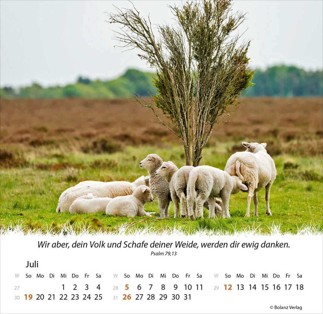 Ein Leben für die Schafe 2026 - Verteilkalender