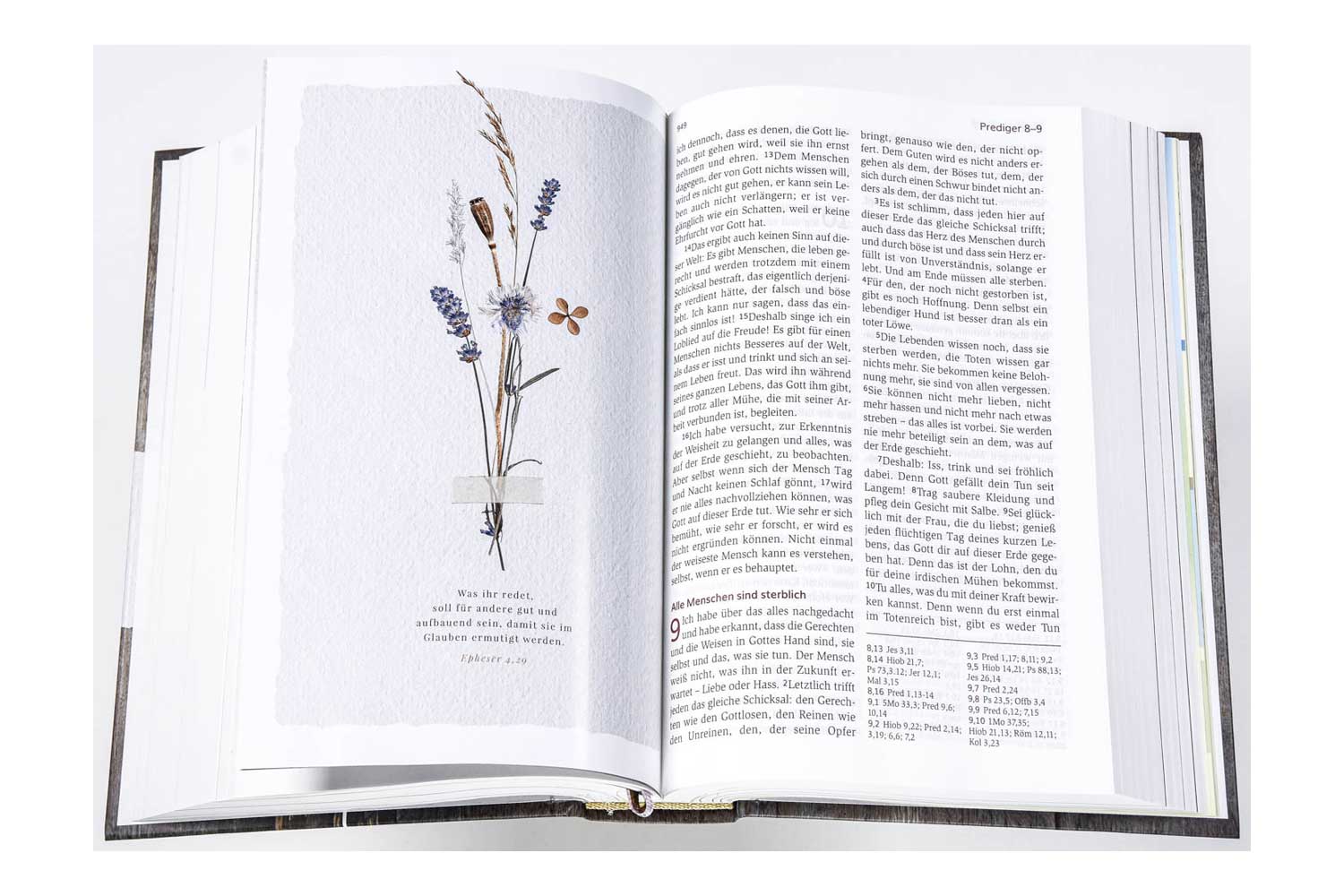 Neues Leben. Die Bibel - Standardausgabe "Blühende Worte"