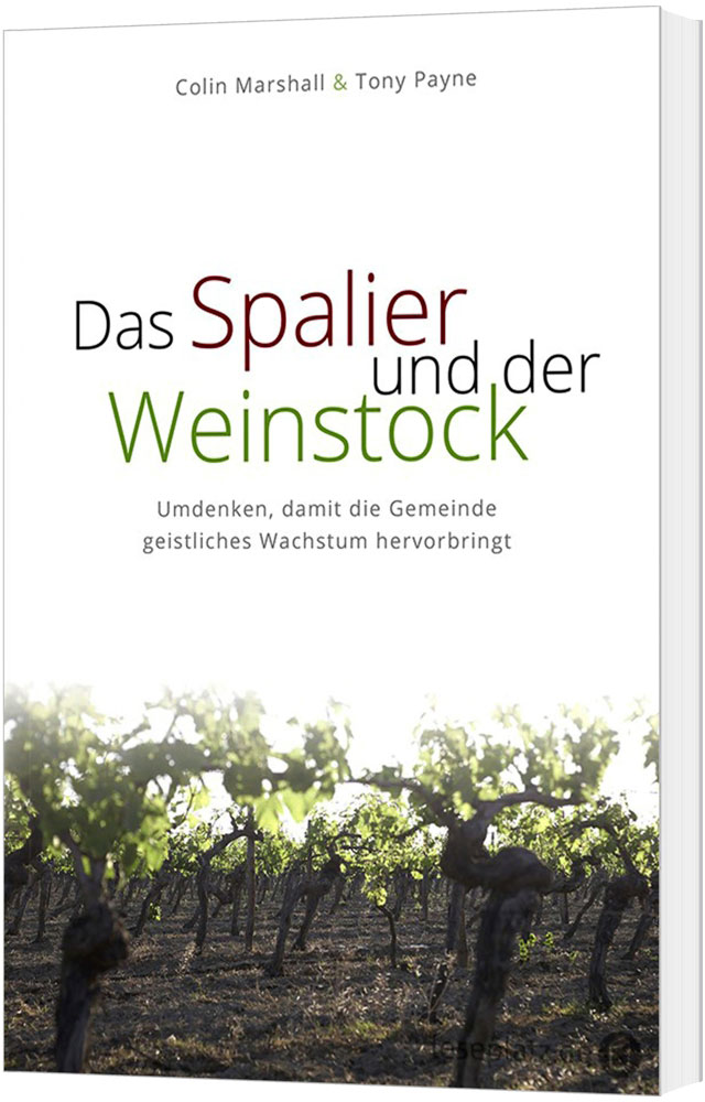 Das Spalier und der Weinstock