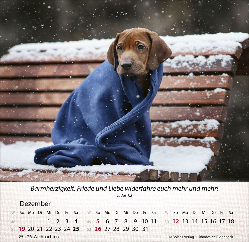 Hunde 2027 - Tischkalender