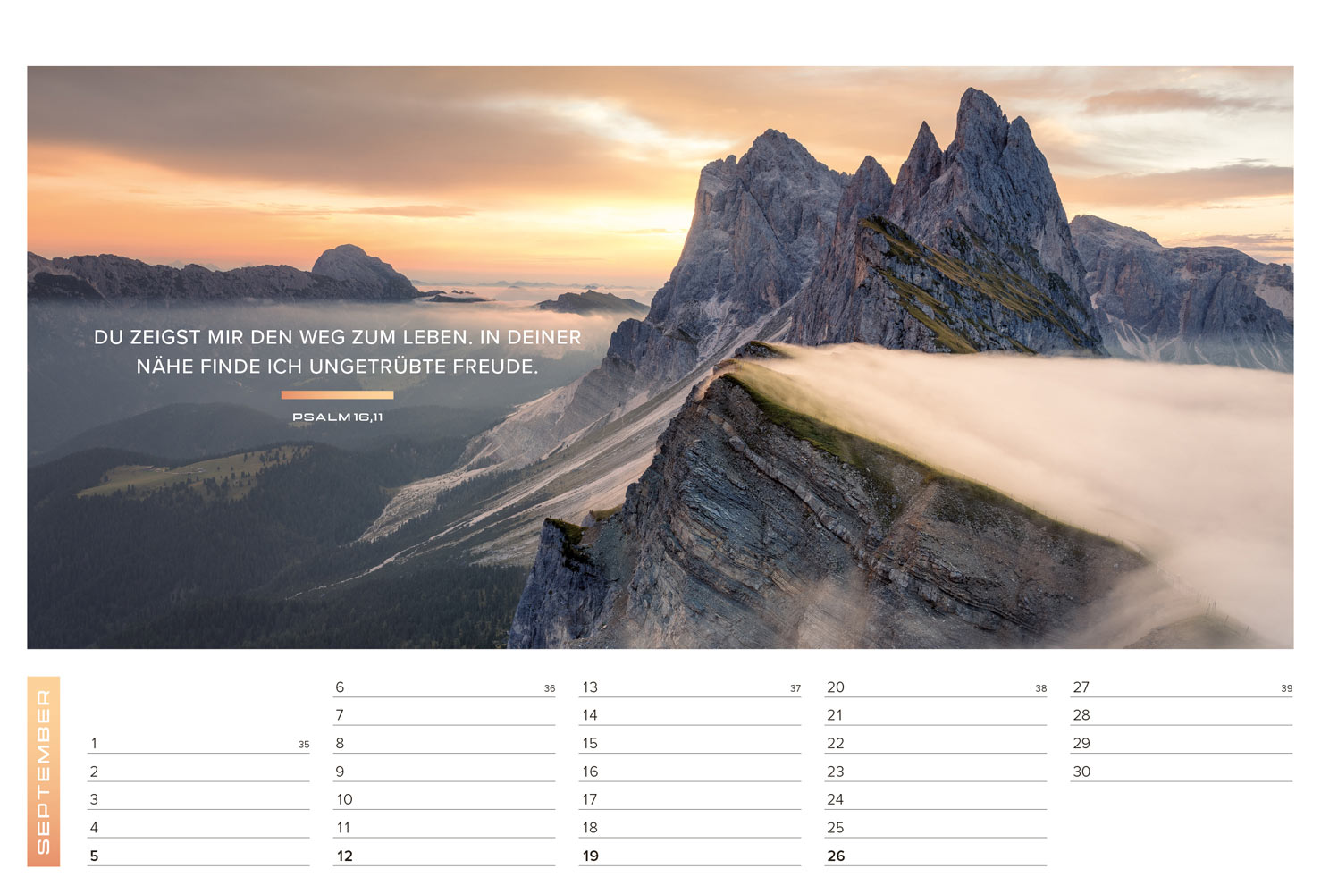 Life-is-More 2027 - Panoramakalender (M-Format)