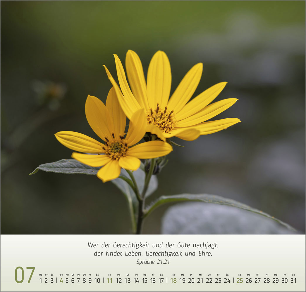 Gesichter der Natur 2027