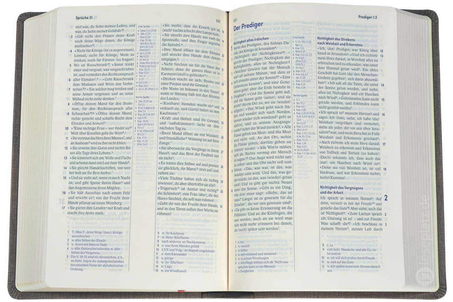 Elberfelder Bibel 2006 Standardausgabe - Kunstleder braun