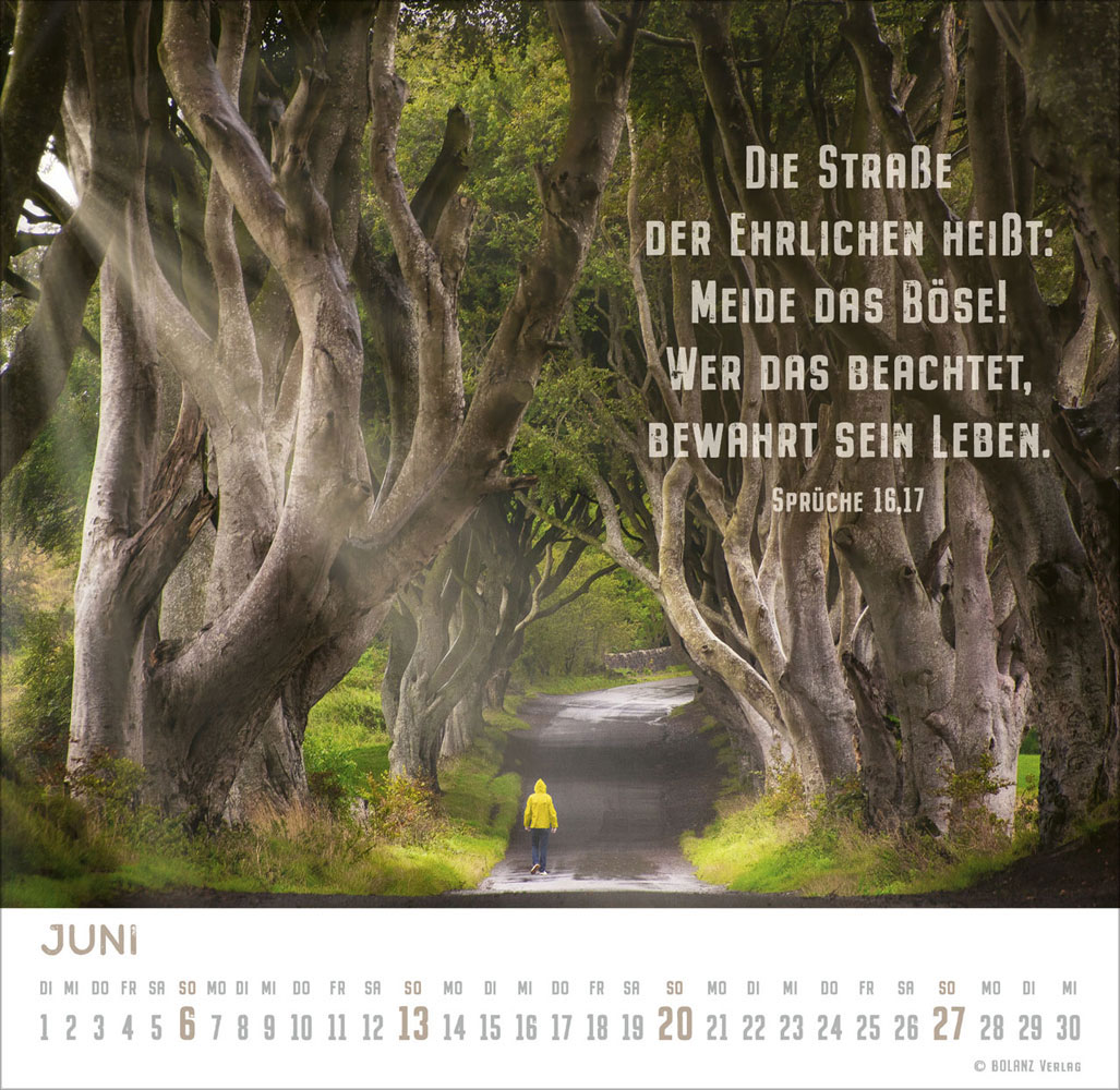 Freiheit 2027 - Tischkalender