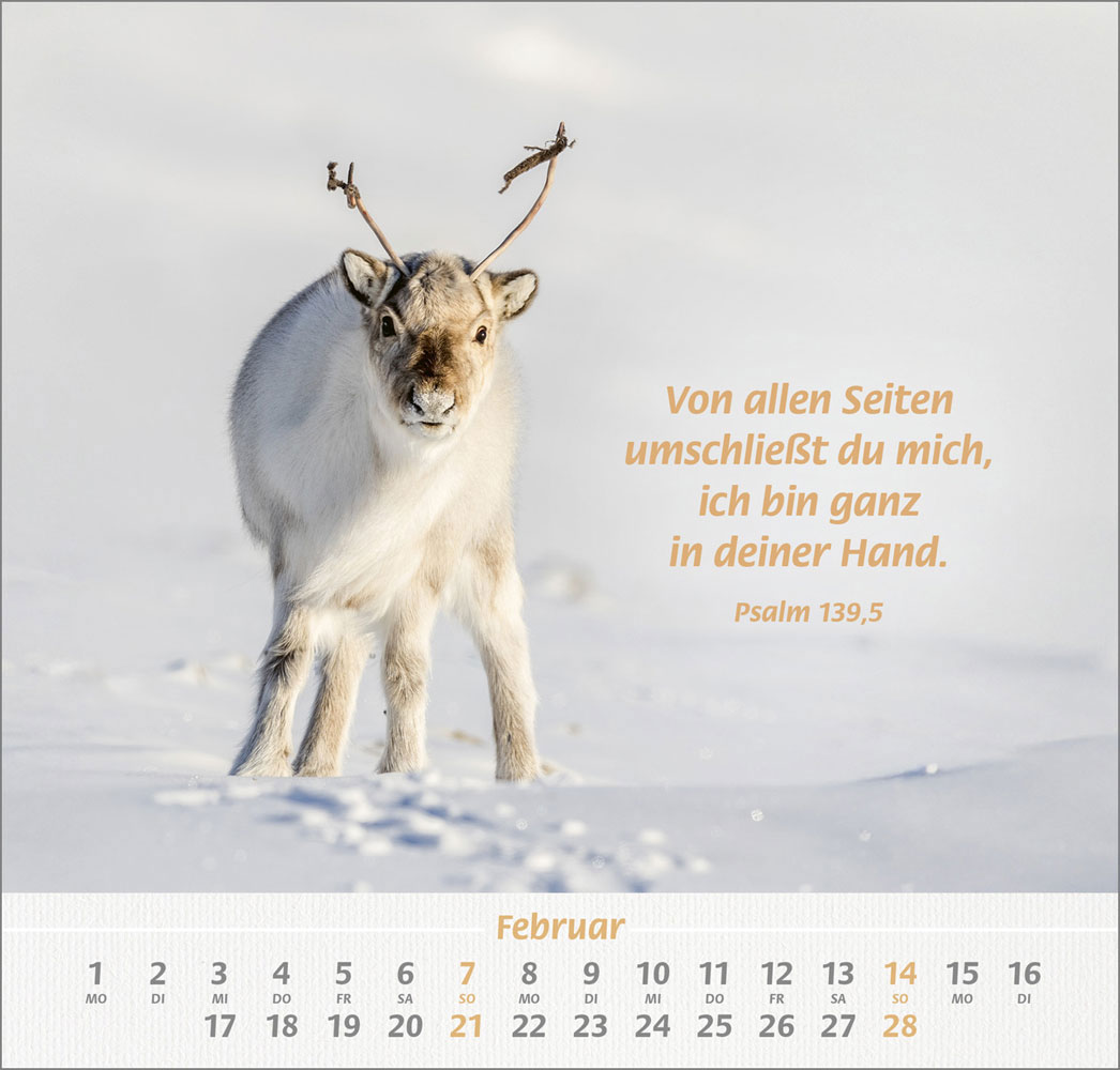 Ich hab dich gern 2027 - Wandkalender