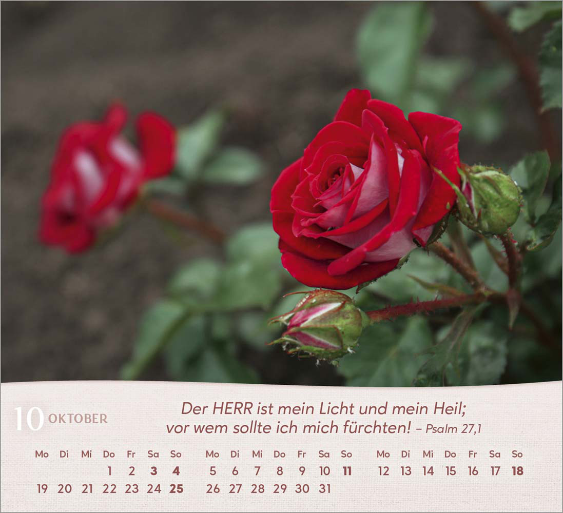Rosen 2026 - Tischkalender