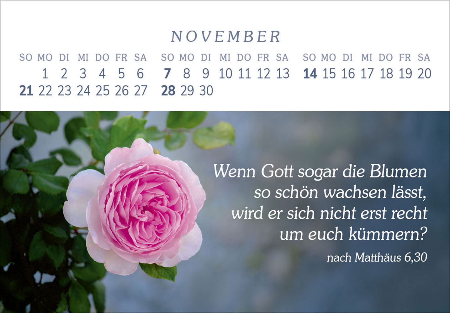 Das Geschenk der Freude 2027