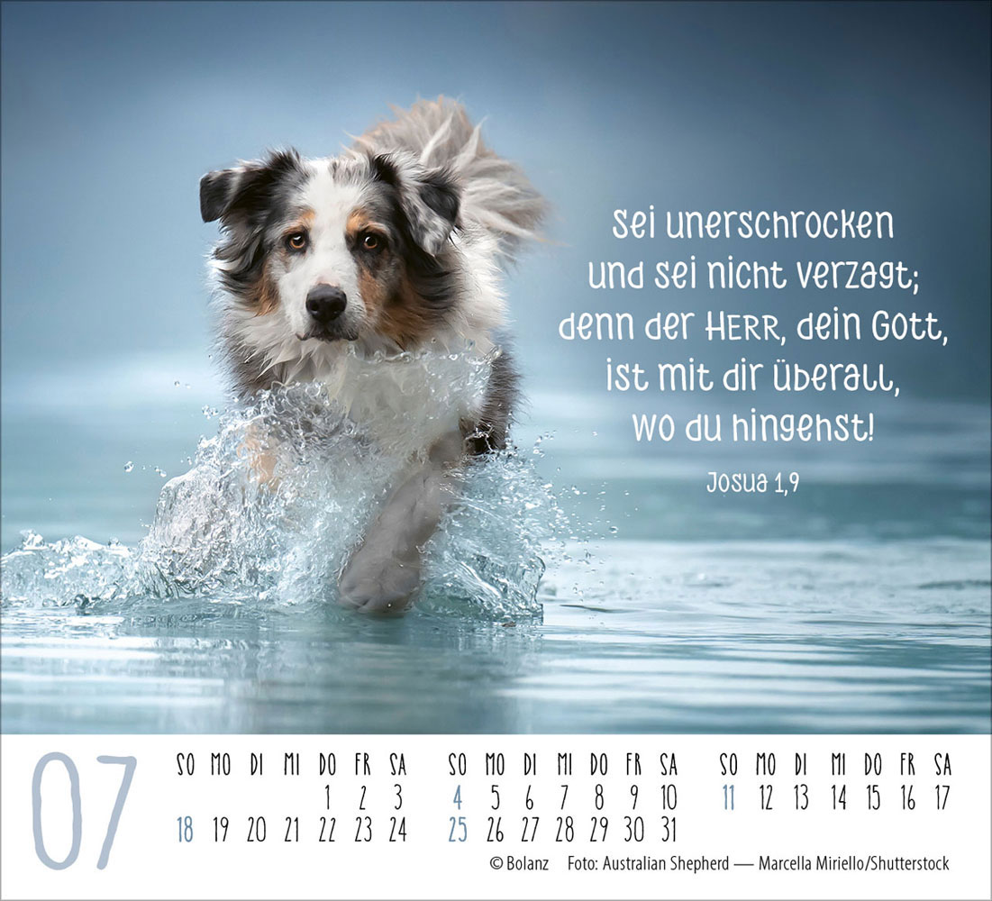 Hunde 2027 - Minikalender