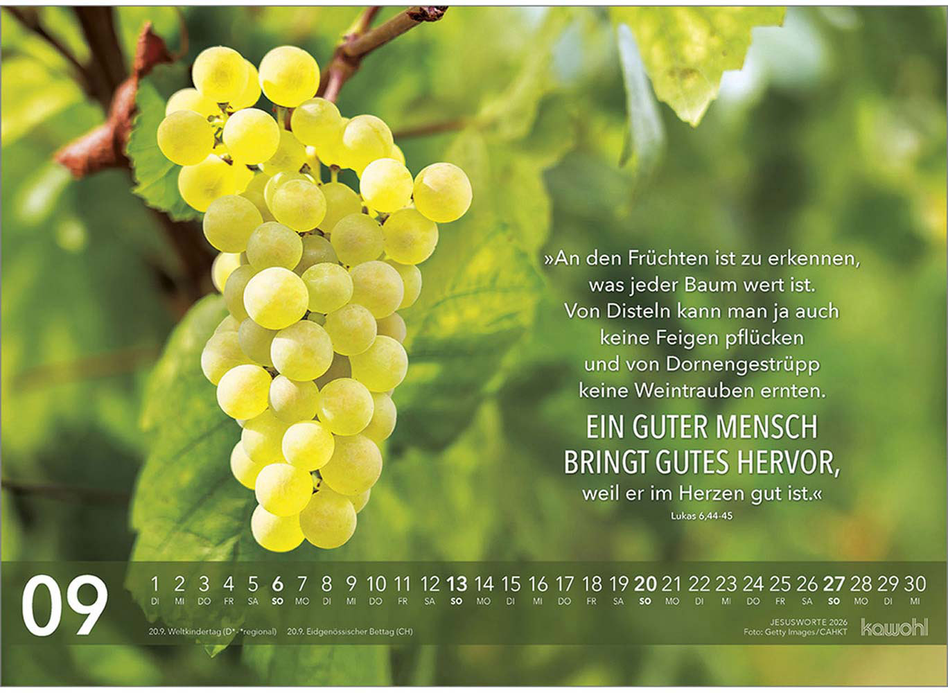 Jesus Worte 2026 - Wandkalender
