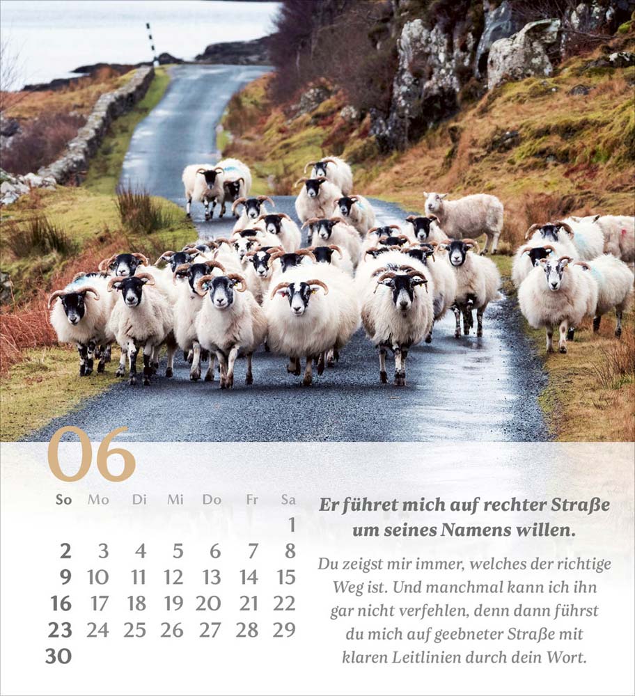Psalm 23 - Tischkalender 2024 Psalm 23 - Tischkalender 2024
