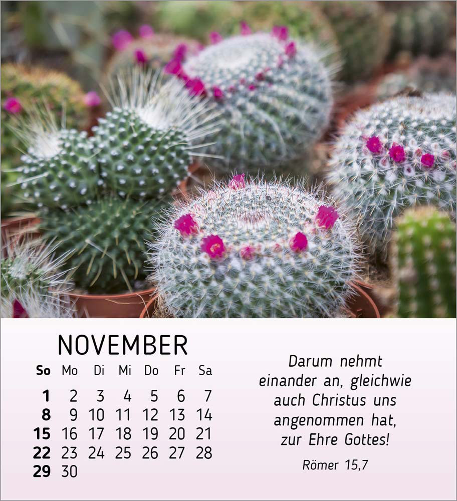 Ich wünsch Dir Freude 2026