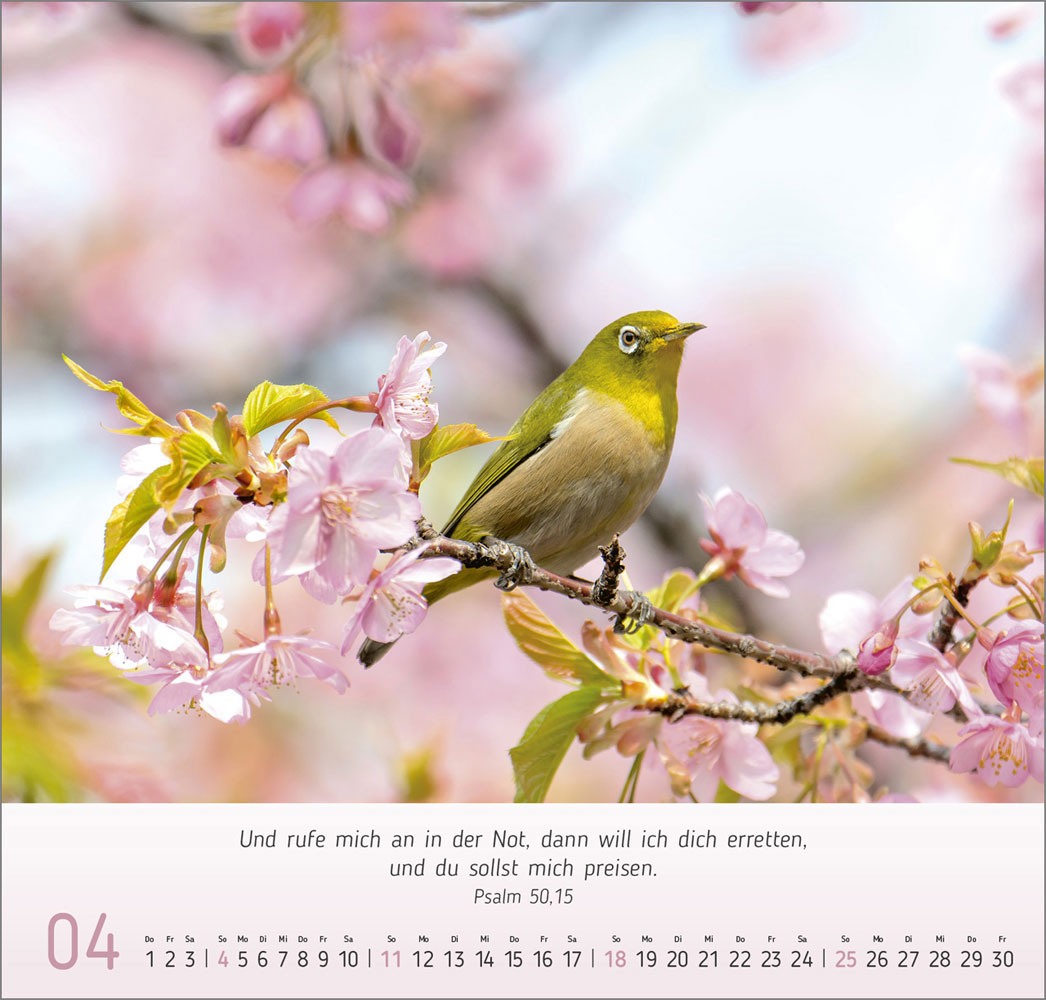 Gesichter der Natur 2027