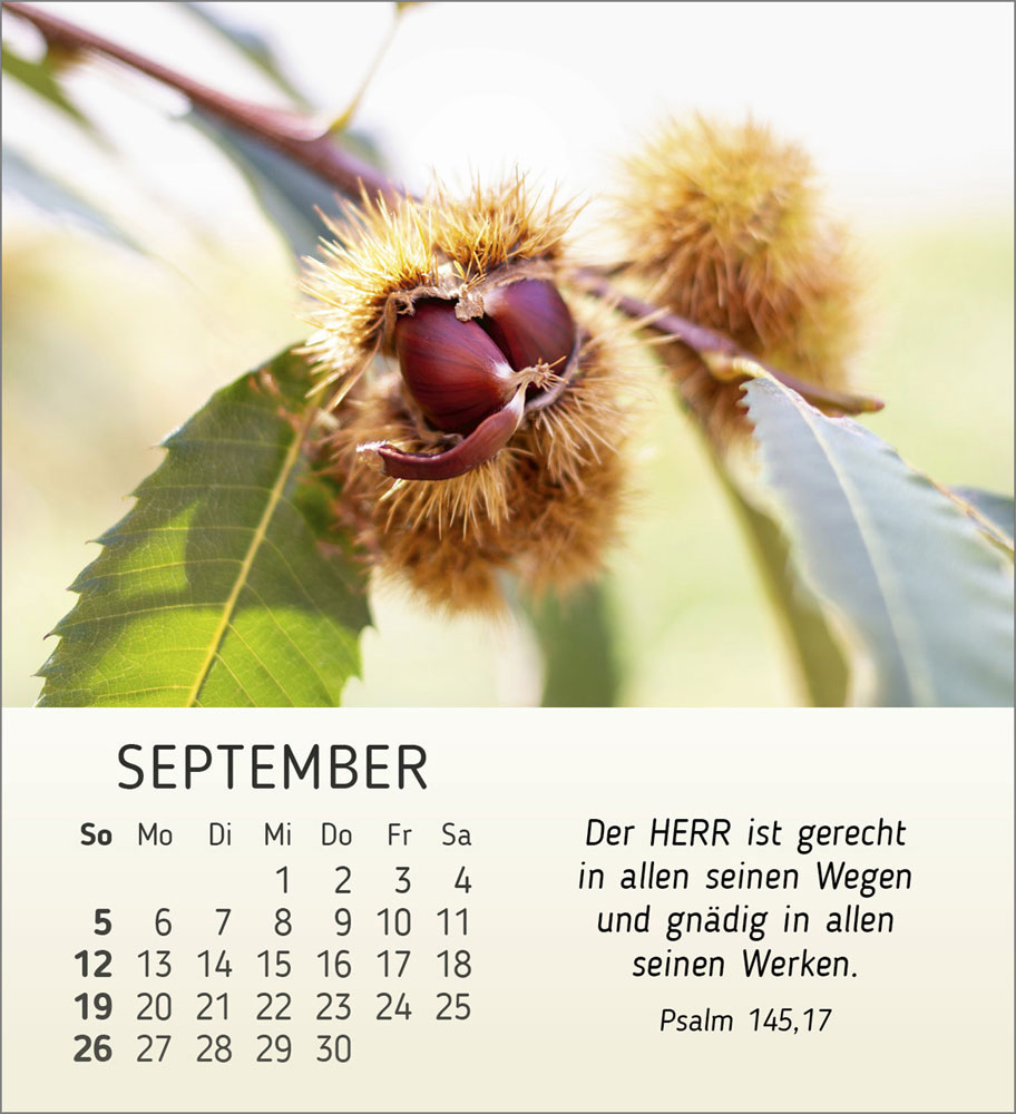 Stille Begegnungen 2027