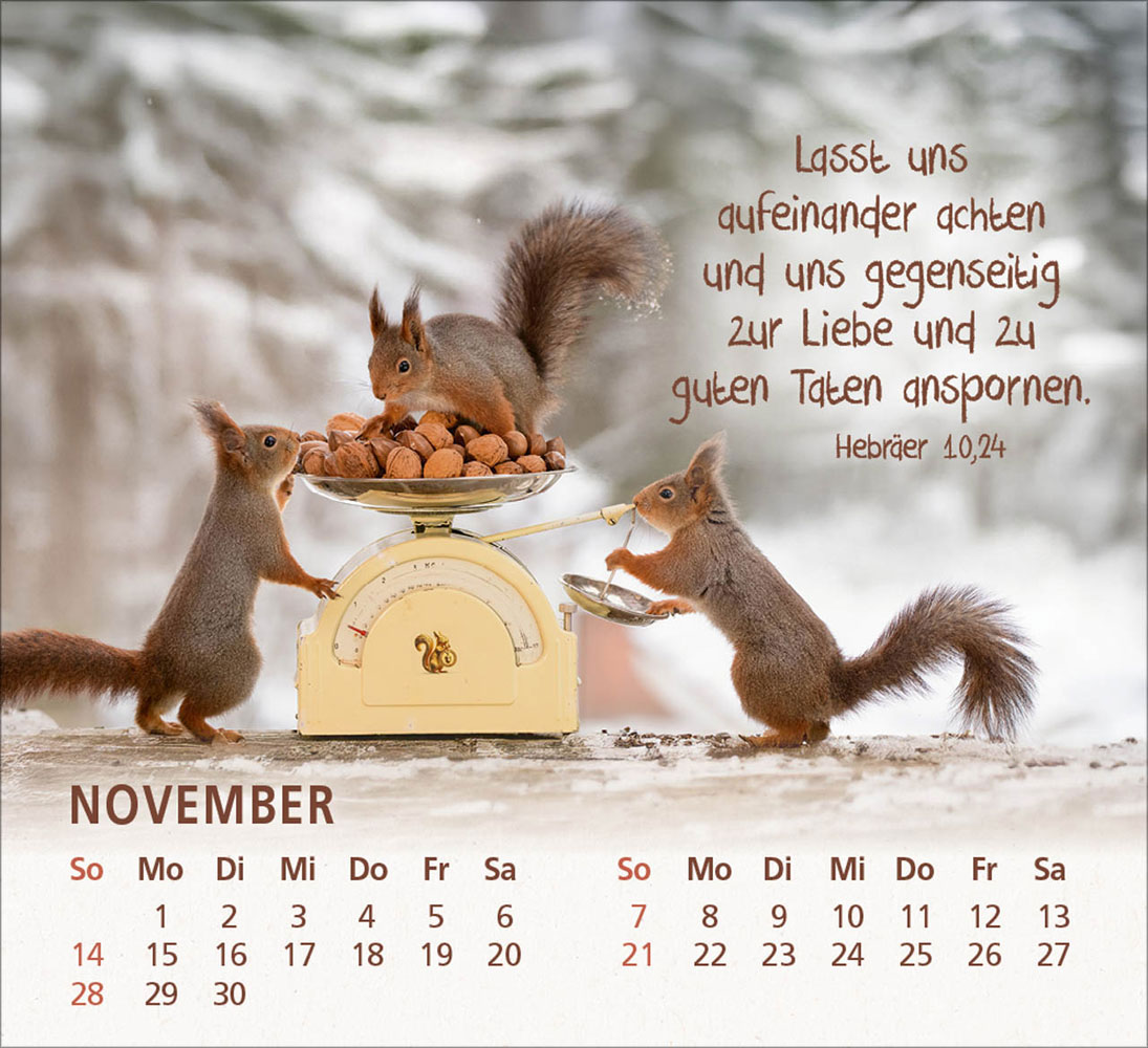 Du bist meine Freude 2027