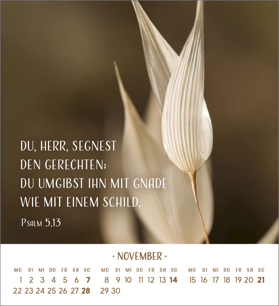 Zarte Blumengrüße 2027 - Tischkalender