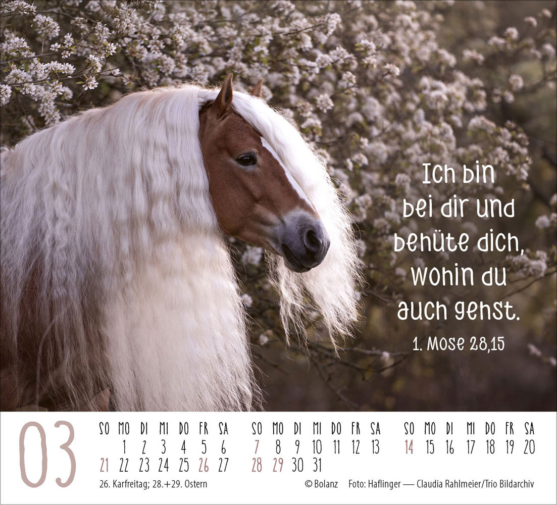 Pferde 2027 - Minikalender
