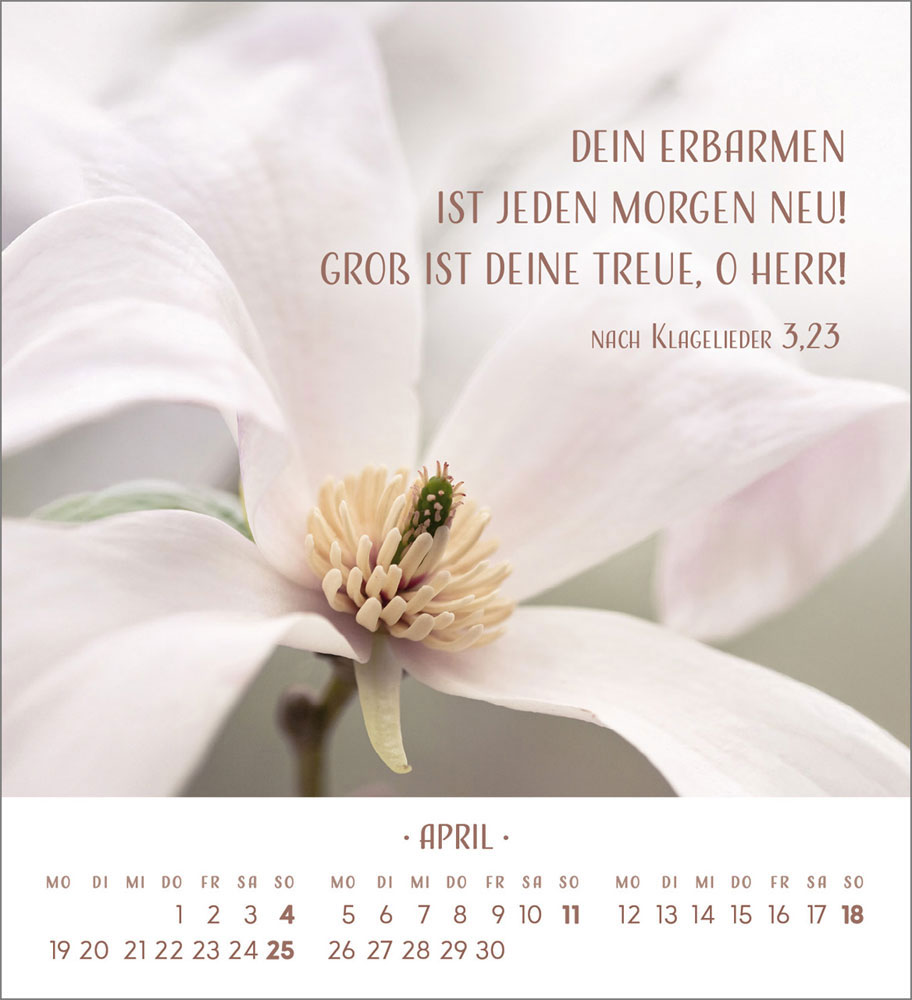 Zarte Blumengrüße 2027 - Tischkalender