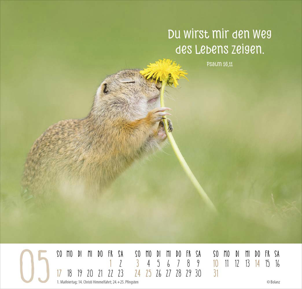 Beste Freunde - Ich mag dich  2026 - Posterkalender