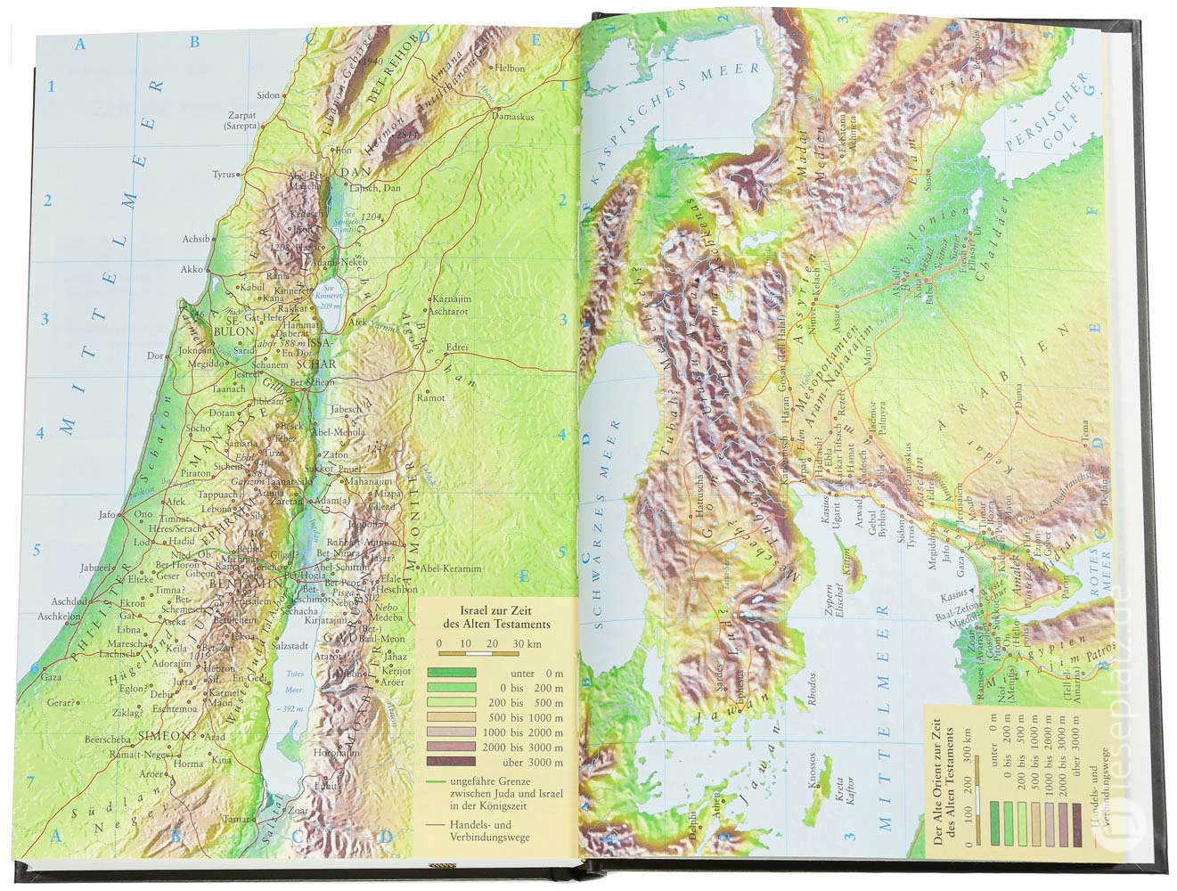 NeÜ - Standardausgabe "Motiv Berg"