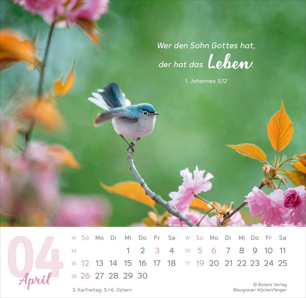 Meine Zeit 2026 - Verteilkalender