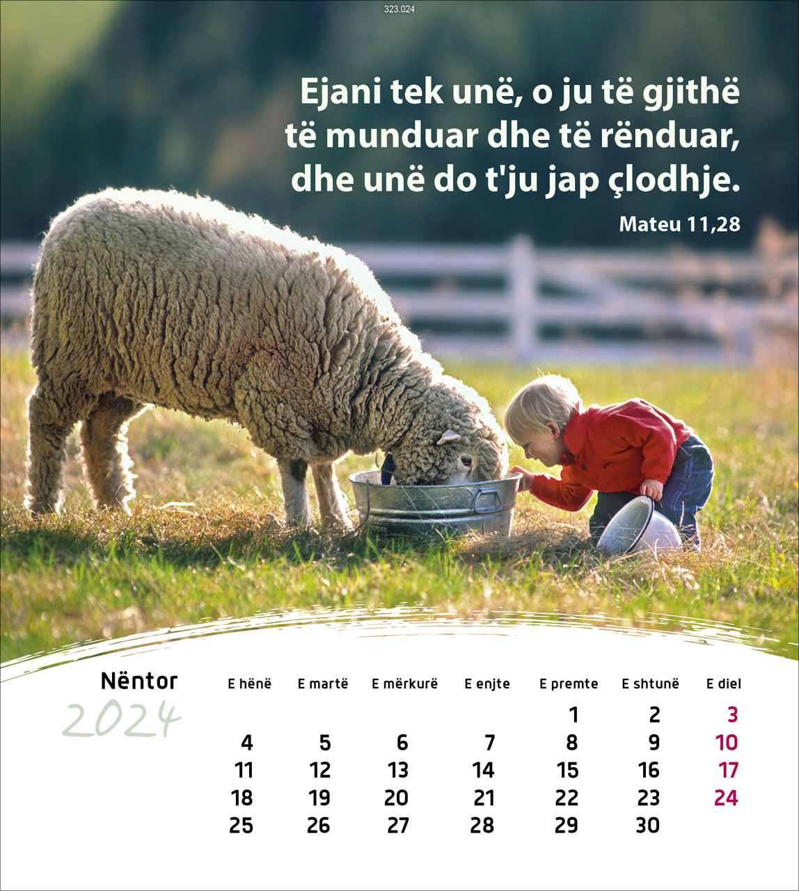 Leben für Dich 2024 - Postkartenkalender Leben für Dich 2024 - Postkartenkalender