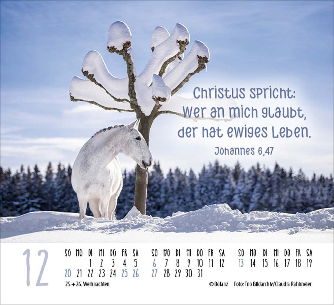 Pferde 2026 - Minikalender  