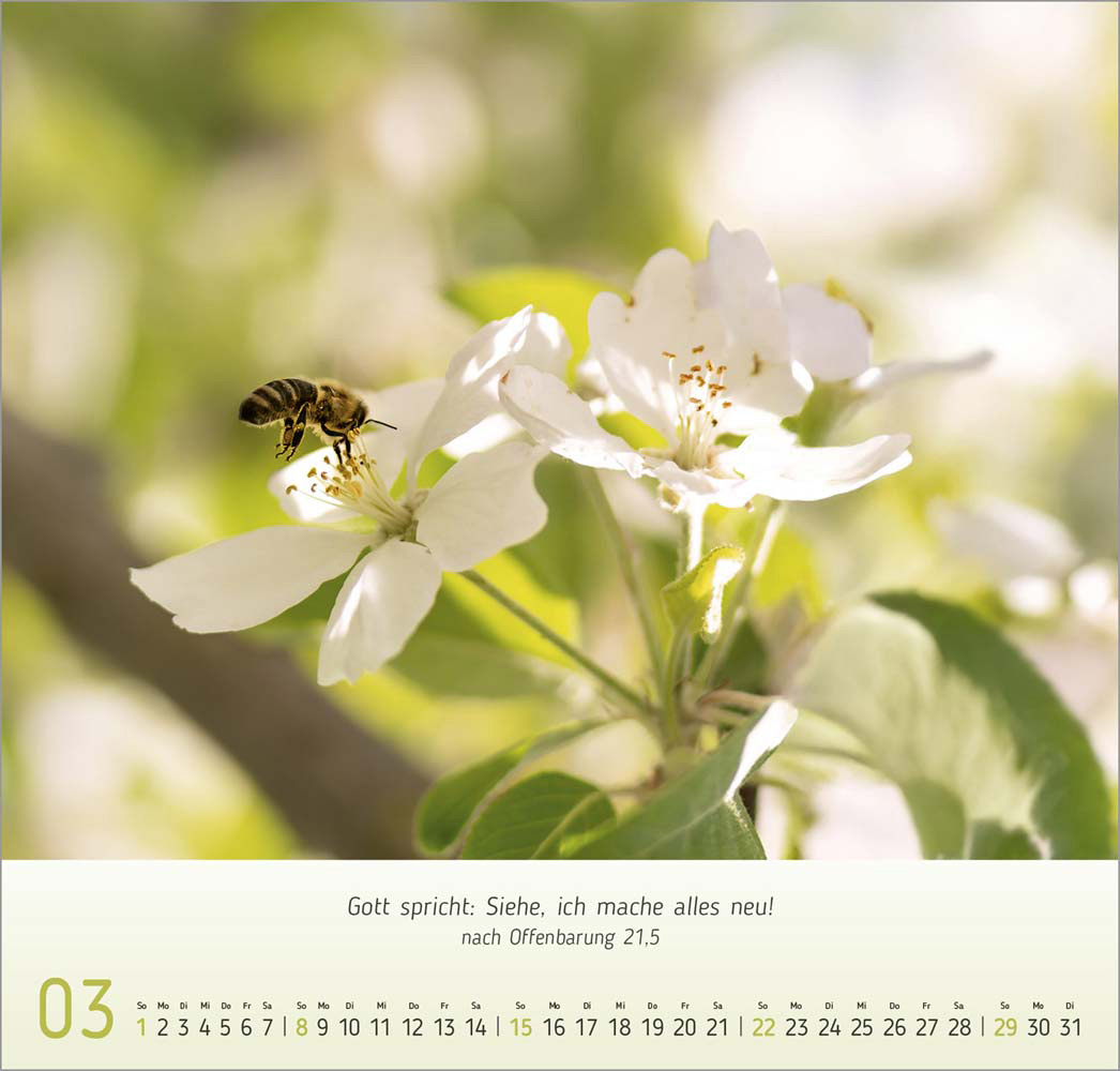 Gesichter der Natur 2026 Gesichter der Natur 2026