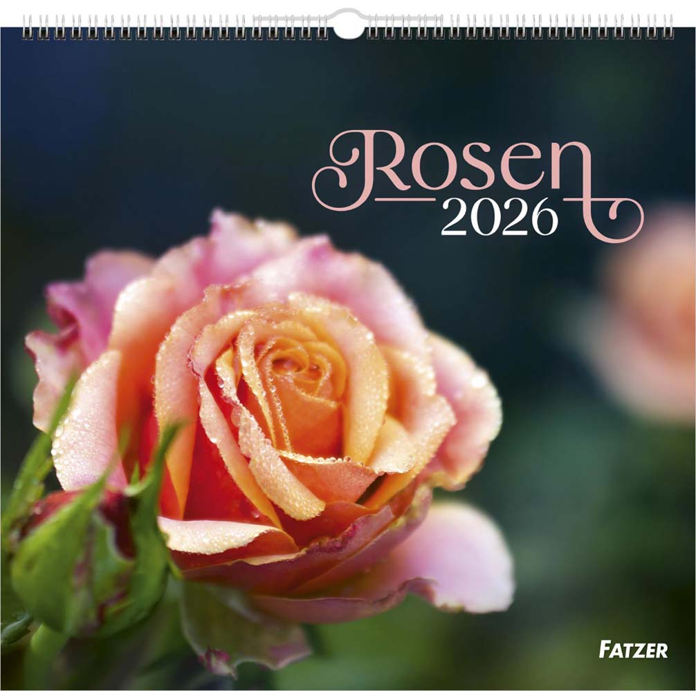 Rosen 2026 - Wandkalender