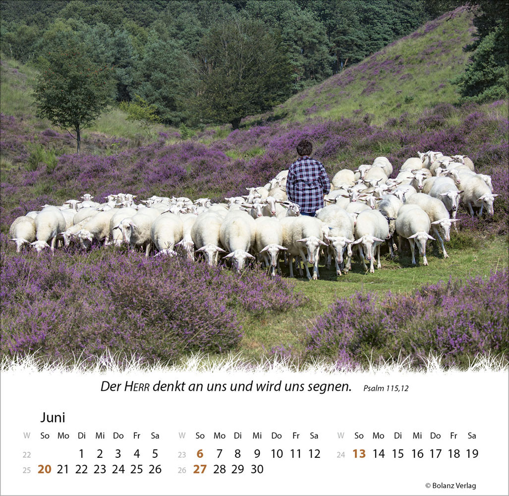 Ein Leben für die Schafe 2027 - Verteilkalender