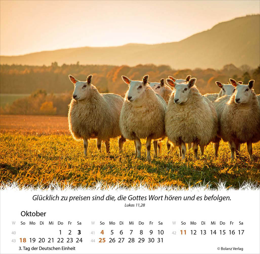 Ein Leben für die Schafe 2026 - Verteilkalender
