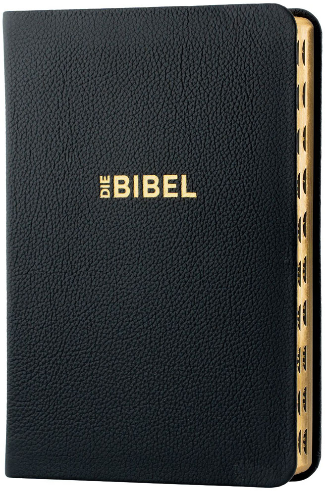Schlachter 2000 Taschenausgabe - flex.Kalbsleder schwarz / Goldschnitt / Griffregister