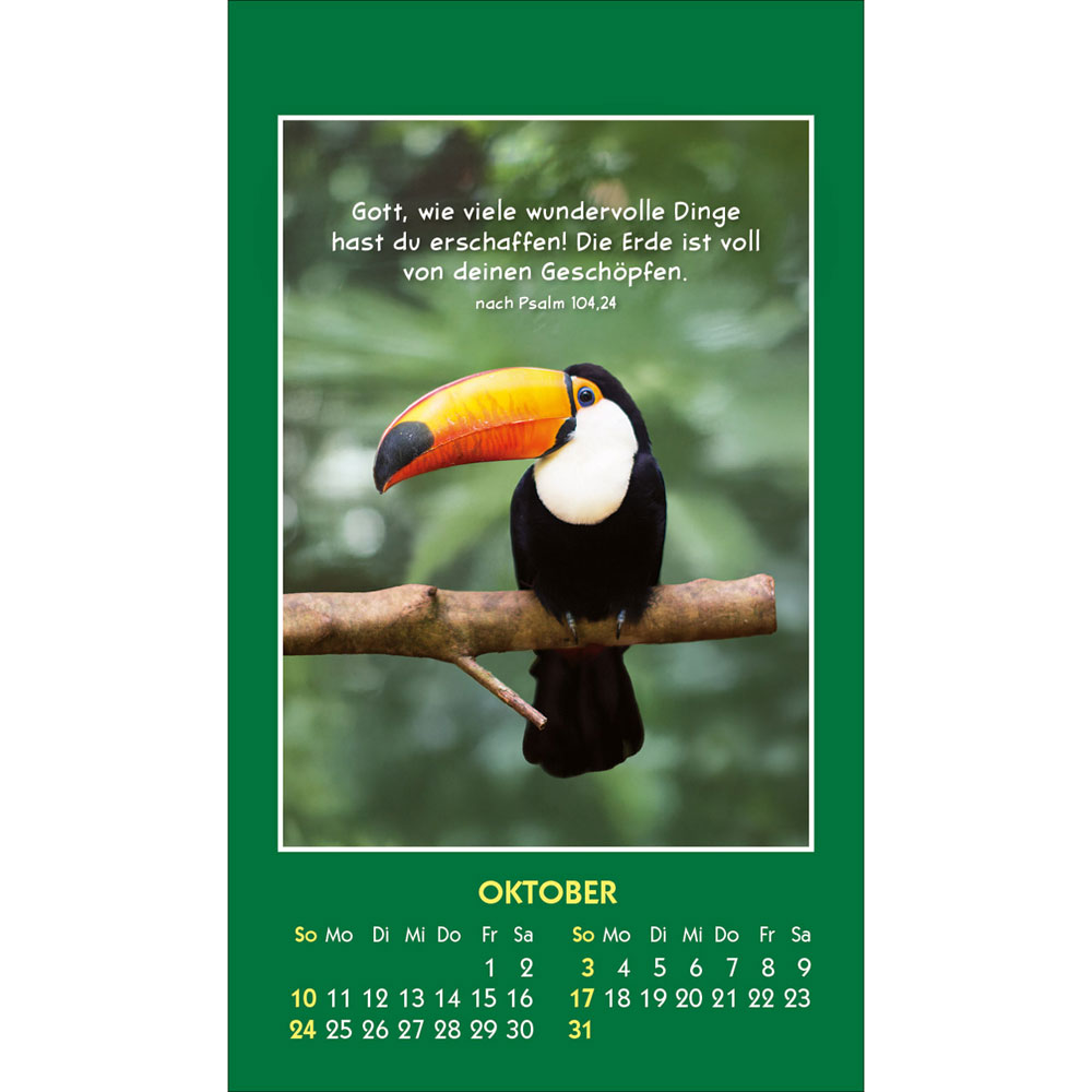 Hallo Du 2027 - Aufkleber-Kalender