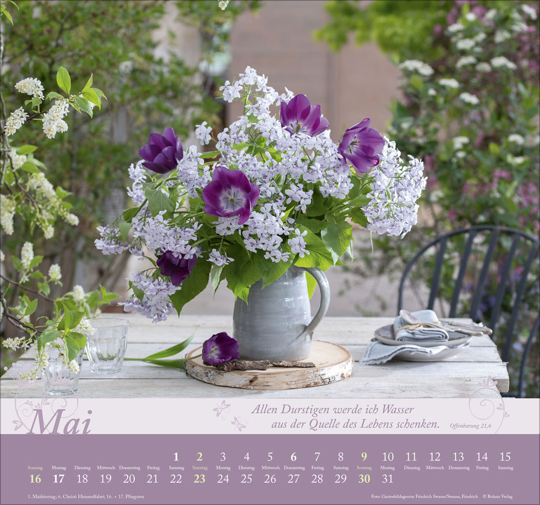 Im Garten zuhause 2027 - Wandkalender