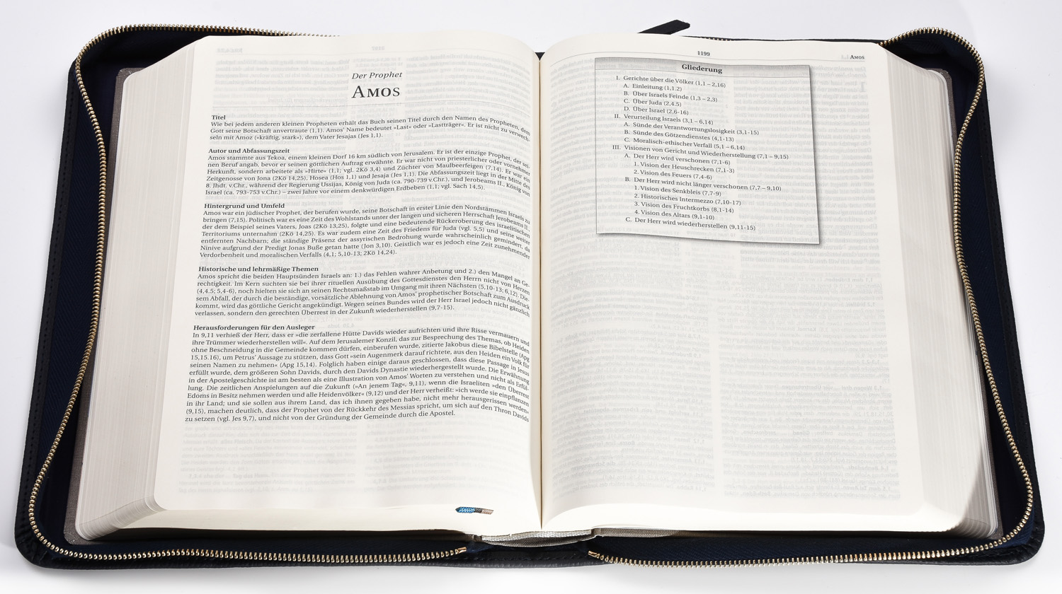 MacArthur Studienbibel mit Echtleder-Bibelhülle