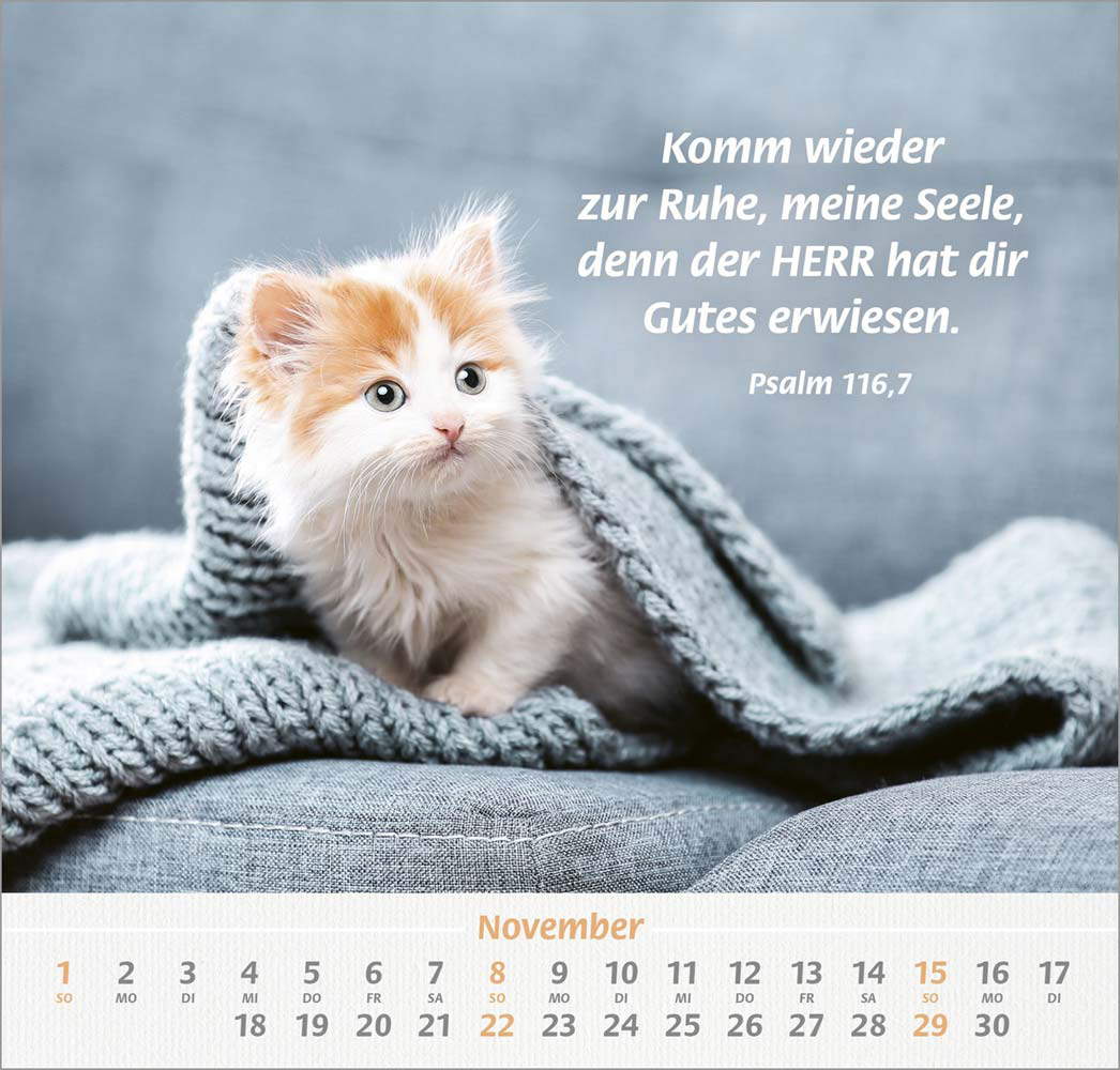 Ich hab dich gern 2026 - Wandkalender