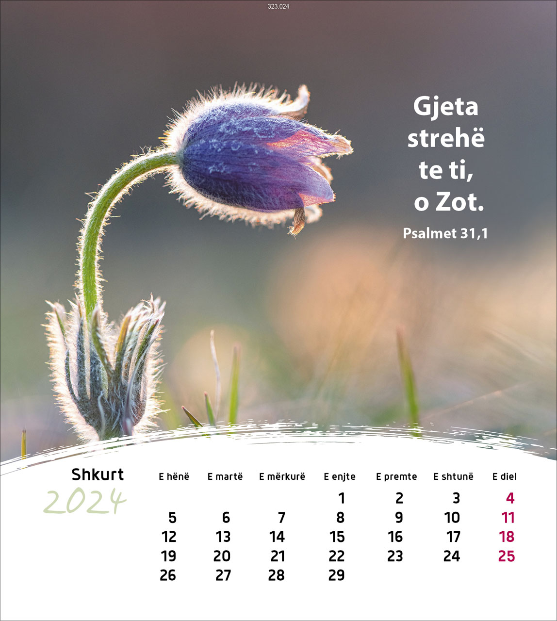 Leben für Dich 2024 - Postkartenkalender Leben für Dich 2024 - Postkartenkalender