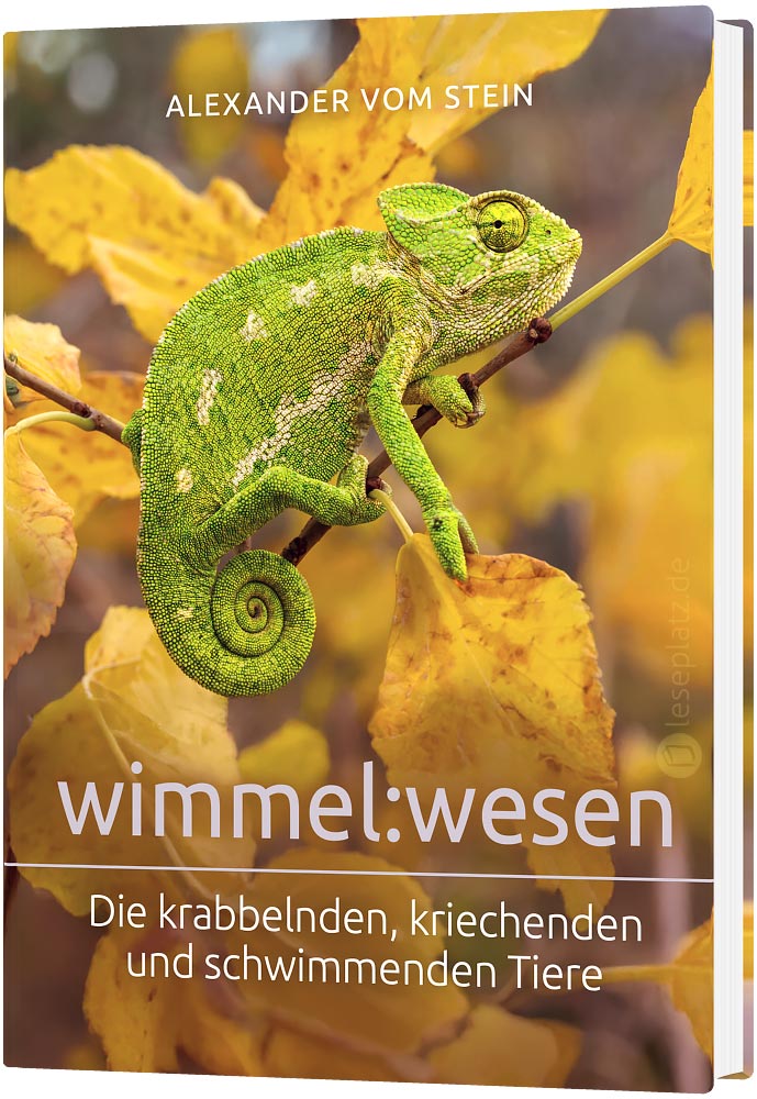 wimmel:wesen